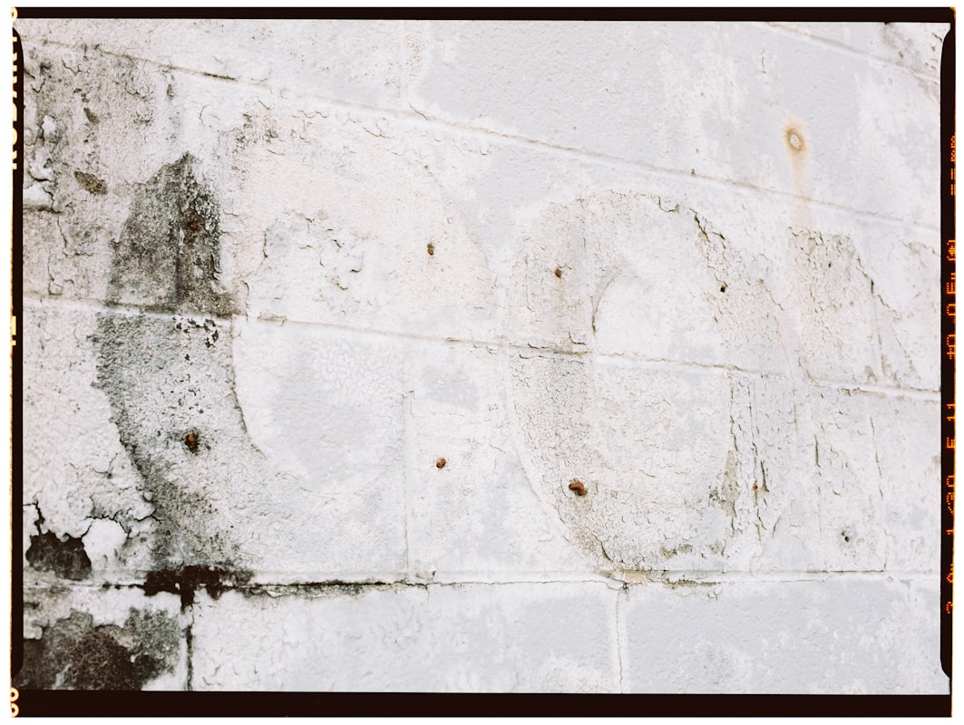 Basement Water Removal service in Grand Rapids, MI